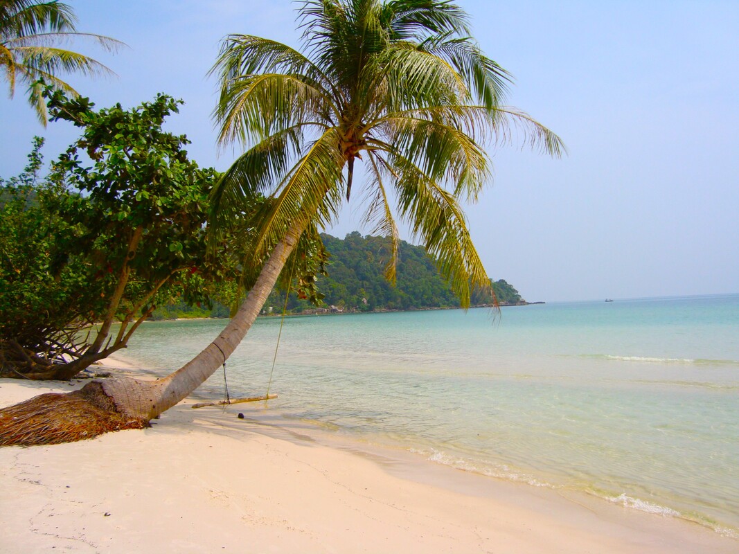 Bai Sao, Sao Beach, Phu Quoc Island, Vietnam, Vietnam island, Vietnam tropical, tropical island, tropical beaches, tropical beach, vietnam beach, palm trees and beach, tropical, incredible beach
