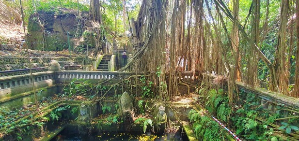 Sacred Monkey Forest, Ubud, forest and monkeys