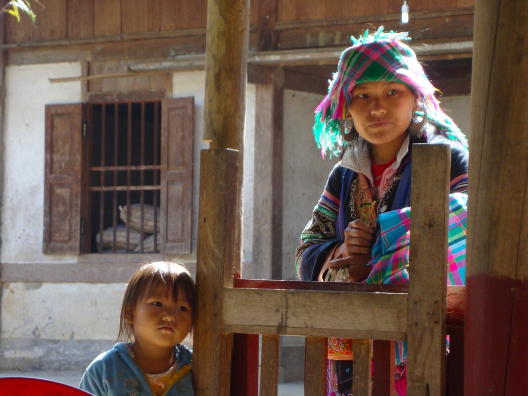 Sapa, Northern Vietnam, Hmong flower, Sapa, vietnam, north vietnam, northern vietnam, trekking in northern vietnam, trekking in north vietnam, trekking in sapa, trekking in vietnam, trekking with ethnic minorities, sapa countryside, sapa villages, sapa minority villages, sapa hmong village, sapa zao village