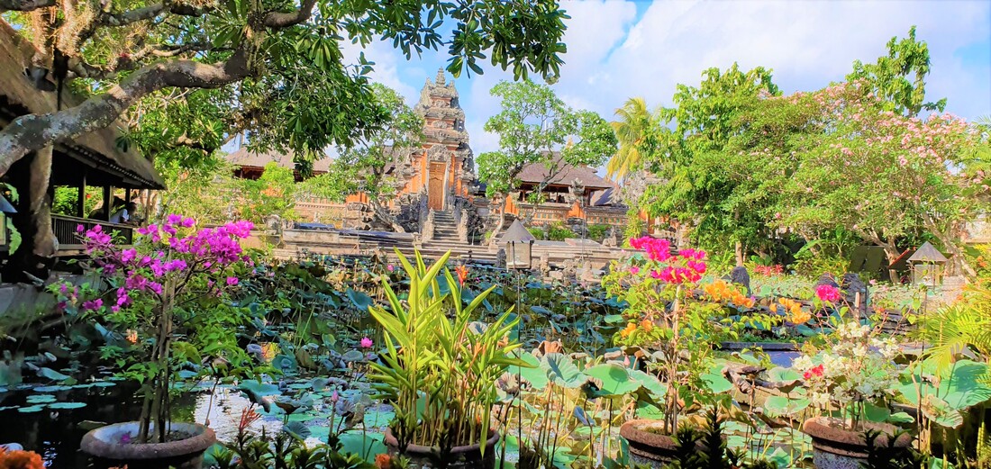 the most beautiful temple in ubud, lotus, water palace, lotus flowers, flowers in bali, spectacle temple, lotus pool, lotus cafe, lotus and water view, coffee with temple view